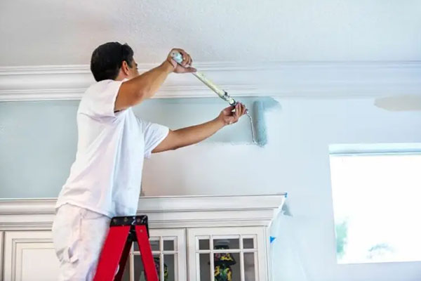 Interior & Exterior Painting Works